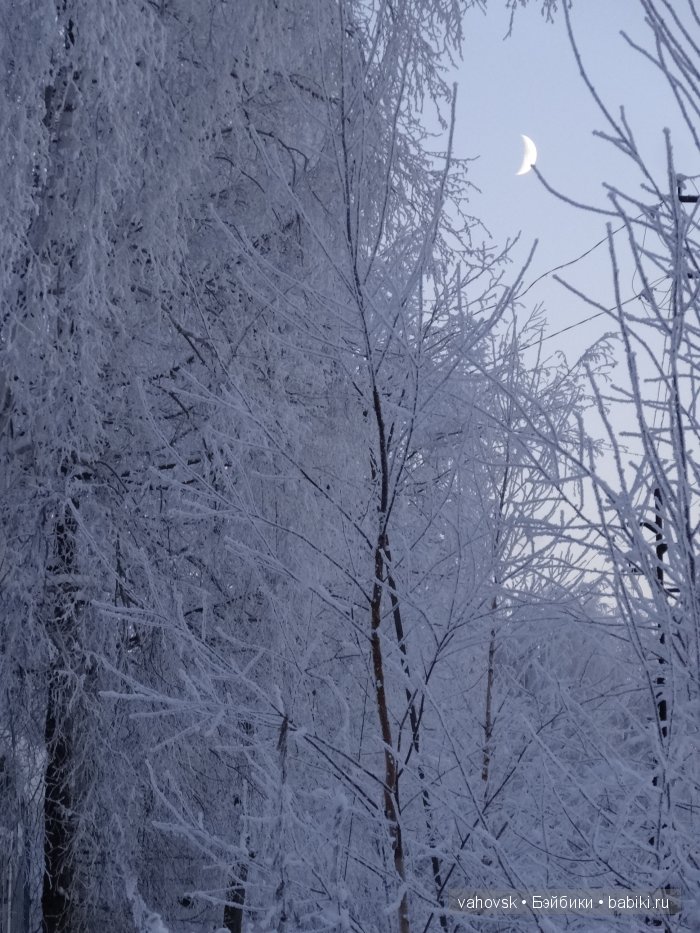 Путешествие в зимнюю сказку! Часть первая. Мои куклы реборн
