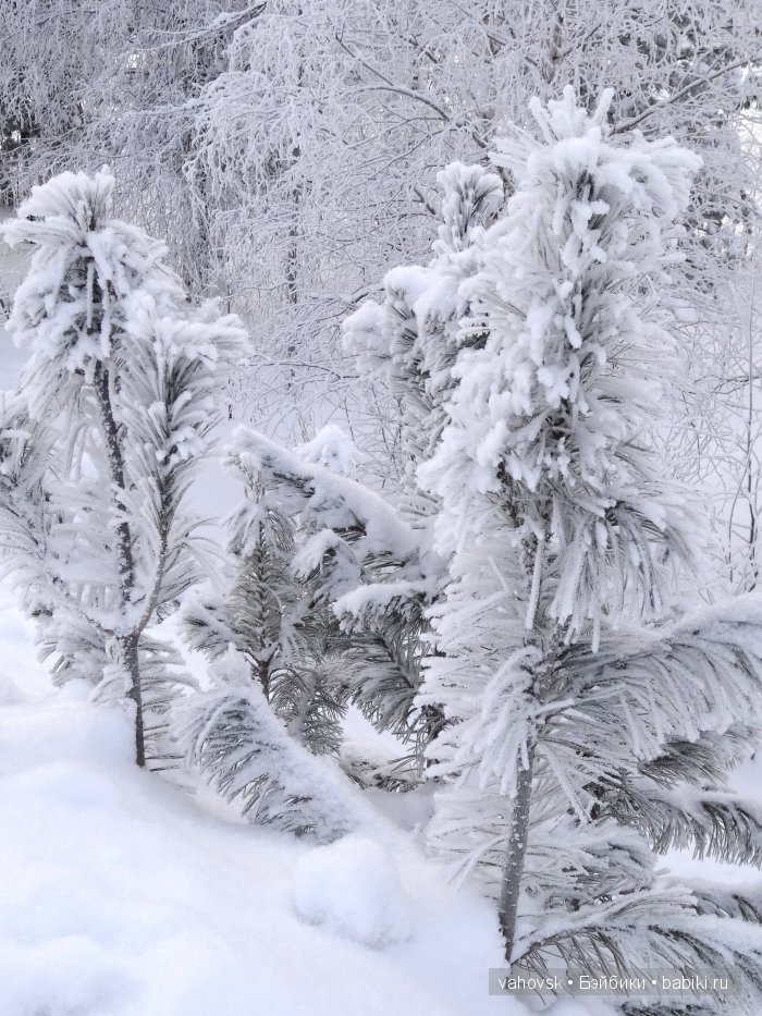 Путешествие в зимнюю сказку! Часть первая. Мои куклы реборн