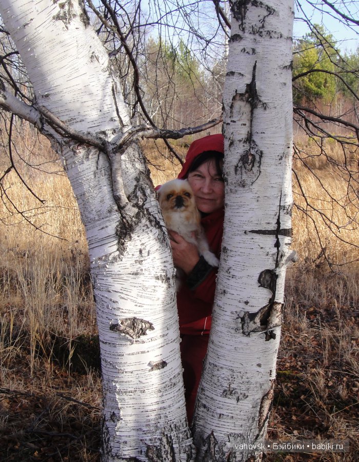 Крик души,или памяти моей собаки посвящаю