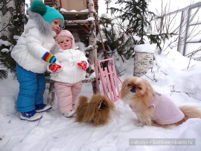 Крик души,или памяти моей собаки посвящаю
