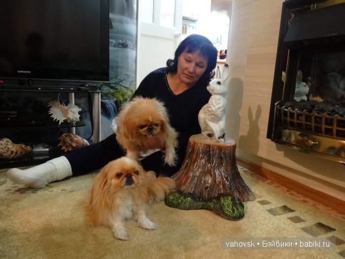 Крик души,или памяти моей собаки посвящаю