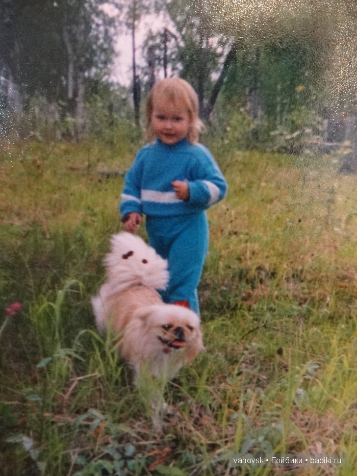 Крик души,или памяти моей собаки посвящаю