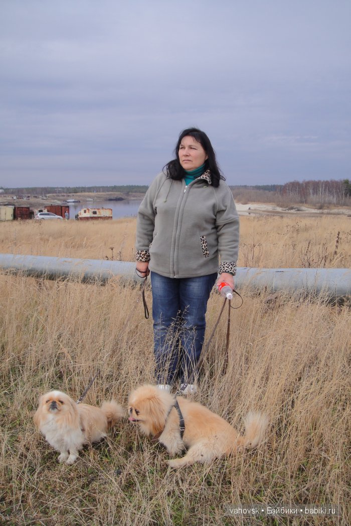 Крик души,или памяти моей собаки посвящаю