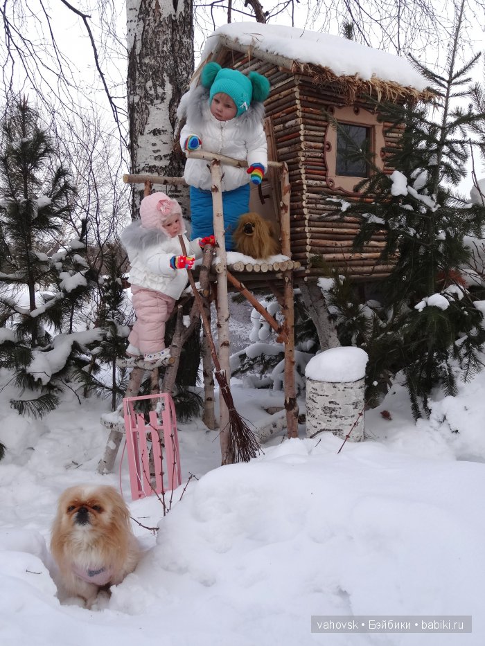 Крик души,или памяти моей собаки посвящаю