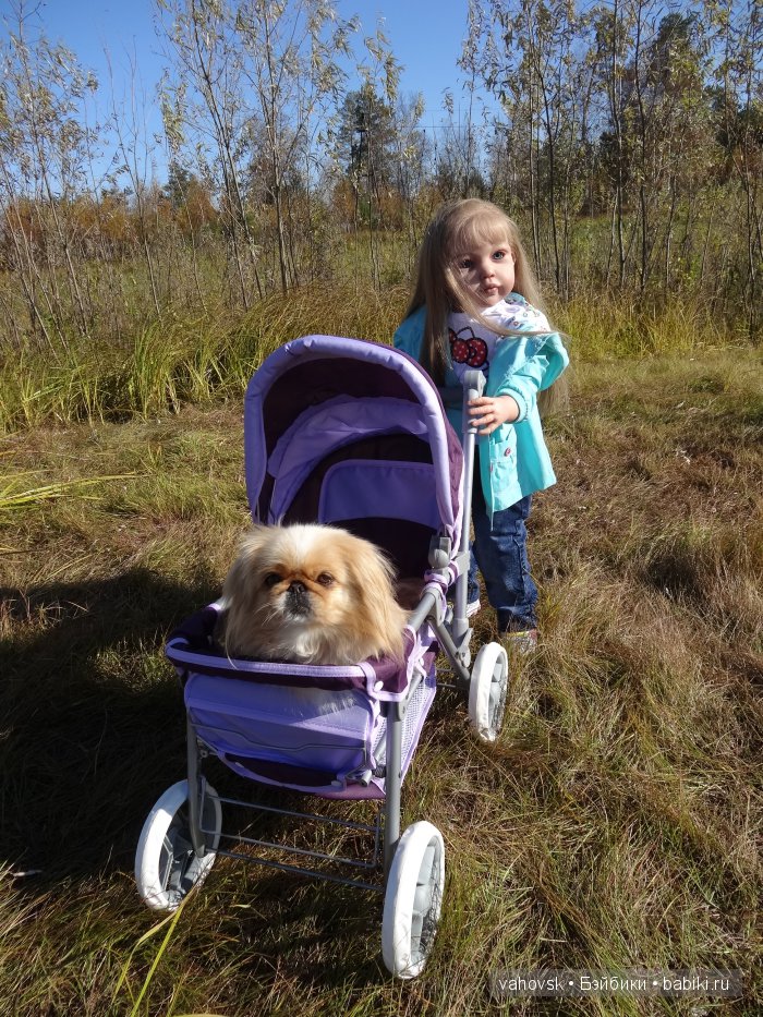 Крик души,или памяти моей собаки посвящаю