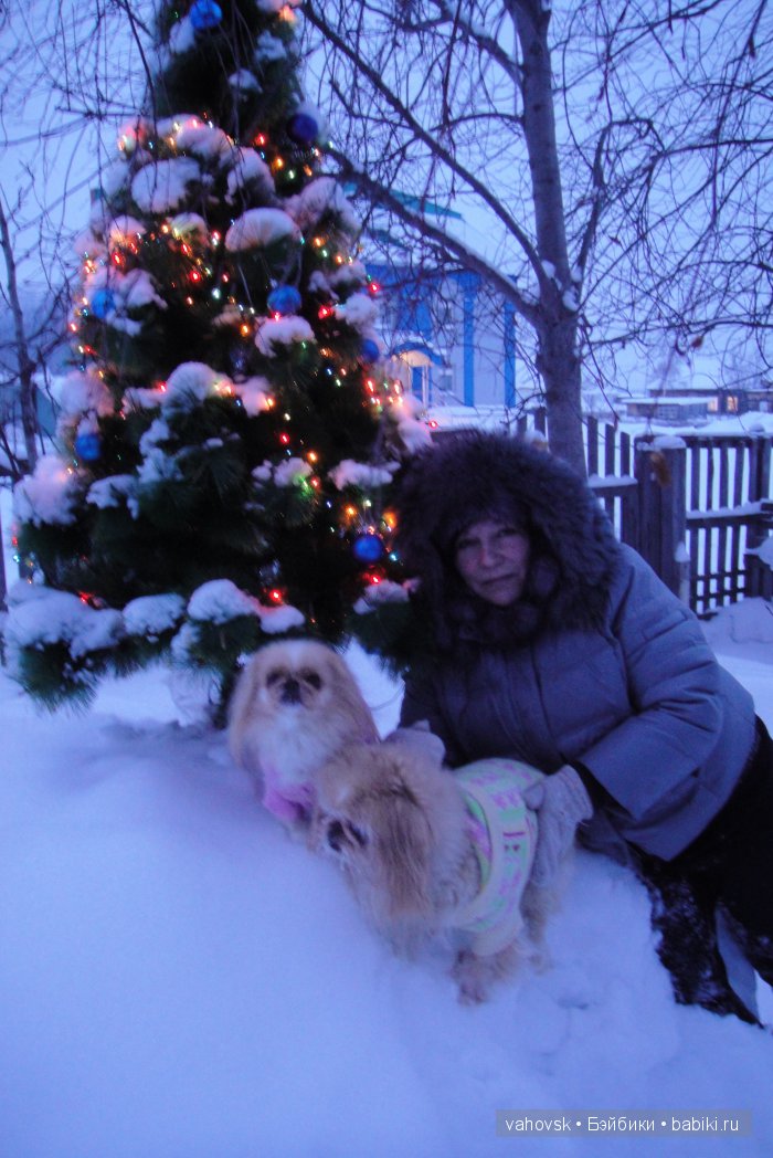 Крик души,или памяти моей собаки посвящаю