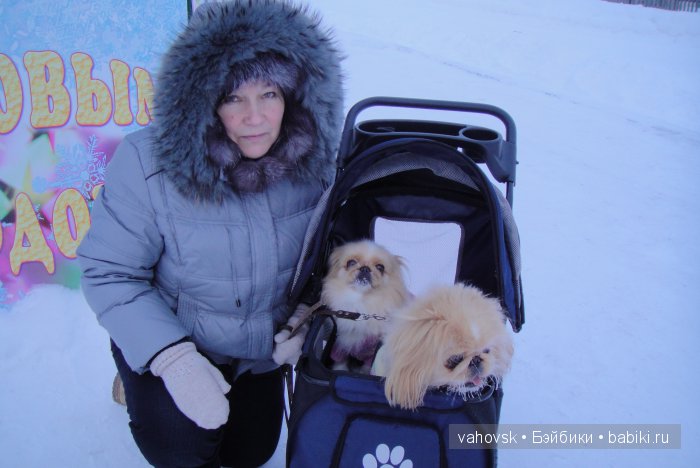 Крик души,или памяти моей собаки посвящаю