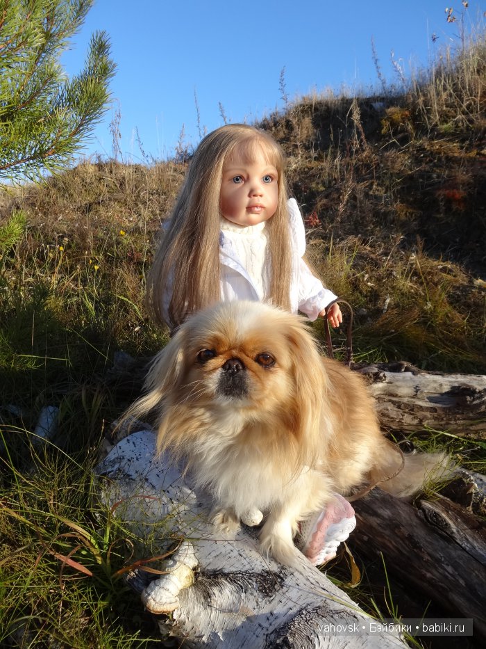 Крик души,или памяти моей собаки посвящаю