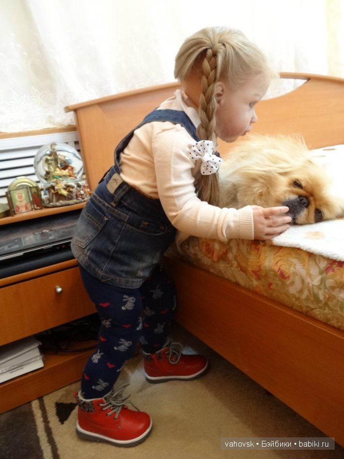 Крик души,или памяти моей собаки посвящаю