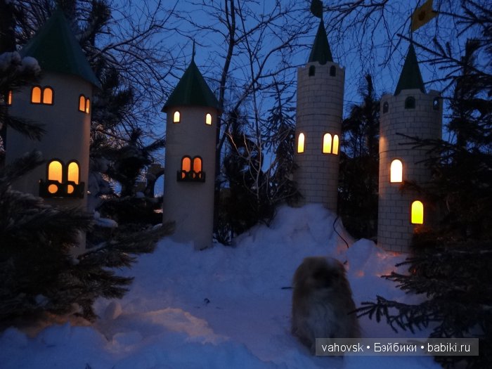 Крик души,или памяти моей собаки посвящаю