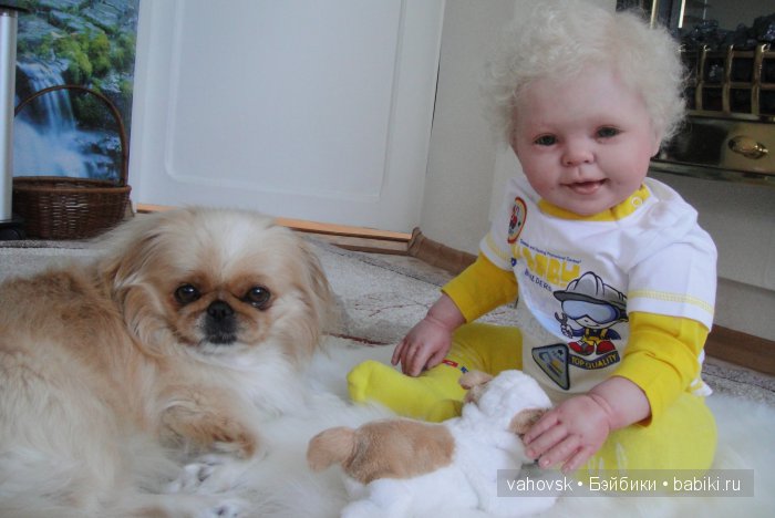 Крик души,или памяти моей собаки посвящаю