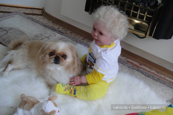 Крик души,или памяти моей собаки посвящаю