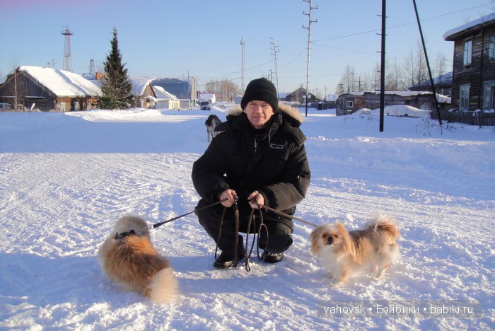 Крик души,или памяти моей собаки посвящаю