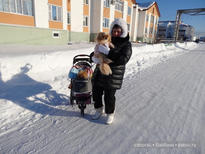 Крик души,или памяти моей собаки посвящаю