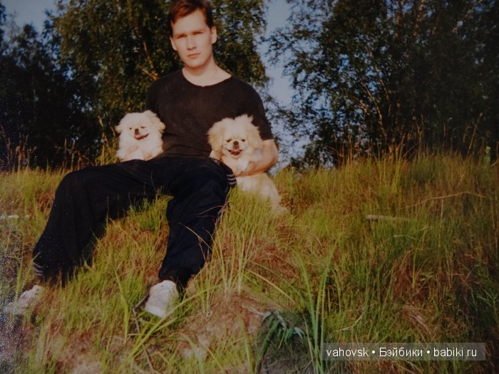 Крик души,или памяти моей собаки посвящаю