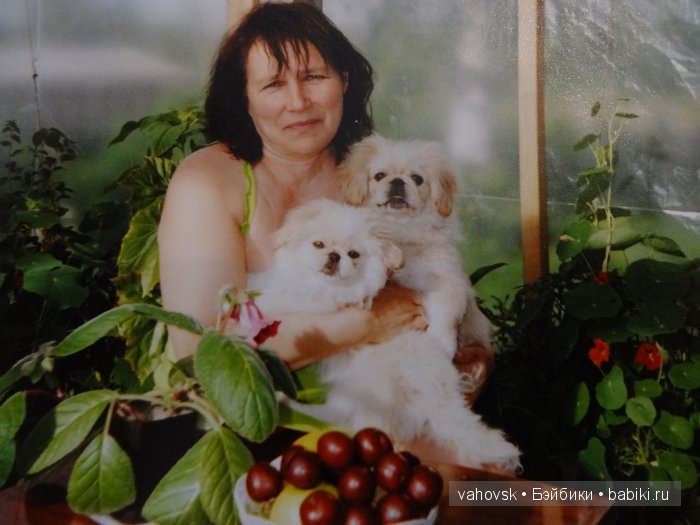 Крик души,или памяти моей собаки посвящаю (фото 10)