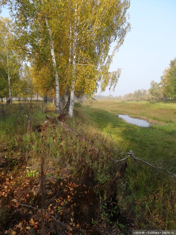 Осенняя песня. По следам конкурса