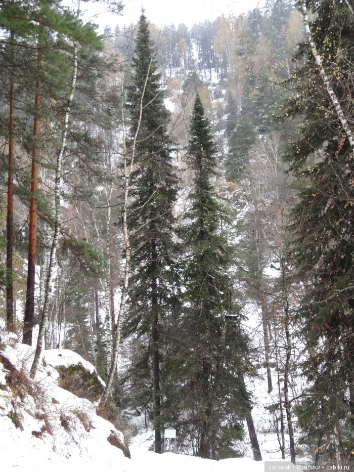 Алтайская сказка, или как мы с Катькой путешествовали! Часть первая