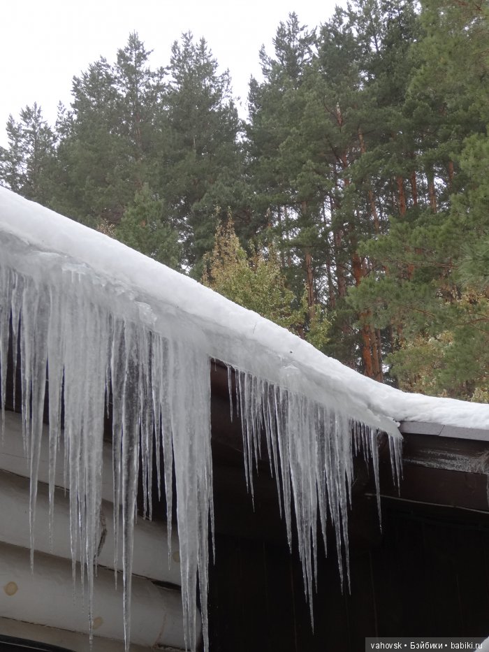 Алтайская сказка, или как мы с Катькой путешествовали! Часть первая