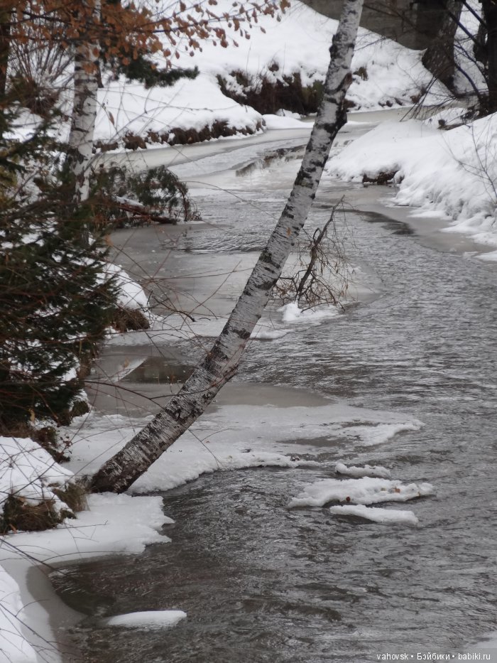 Алтайская сказка, или как мы с Катькой путешествовали! Часть первая (фото 10)