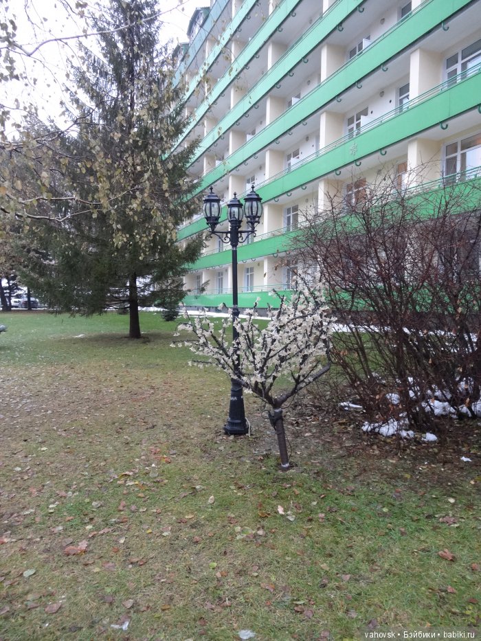 Алтайская сказка, или как мы с Катькой путешествовали! Часть первая