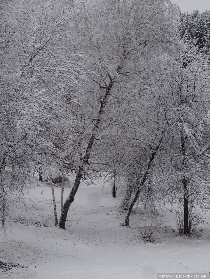 Алтайская сказка, или как мы с Катькой путешествовали! Часть первая