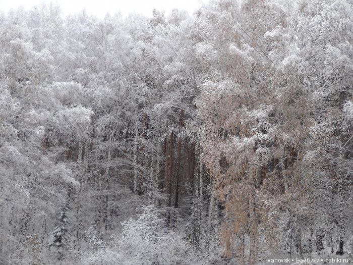 Алтайская сказка, или как мы с Катькой путешествовали! Часть первая