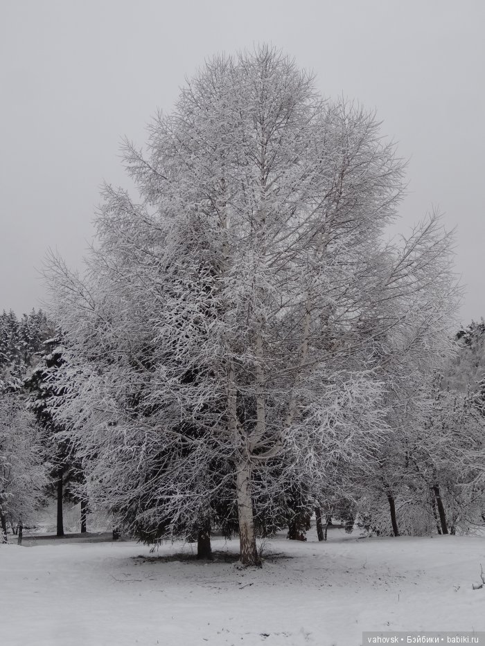 Алтайская сказка, или как мы с Катькой путешествовали! Часть первая