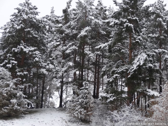 Алтайская сказка, или как мы с Катькой путешествовали! Часть первая