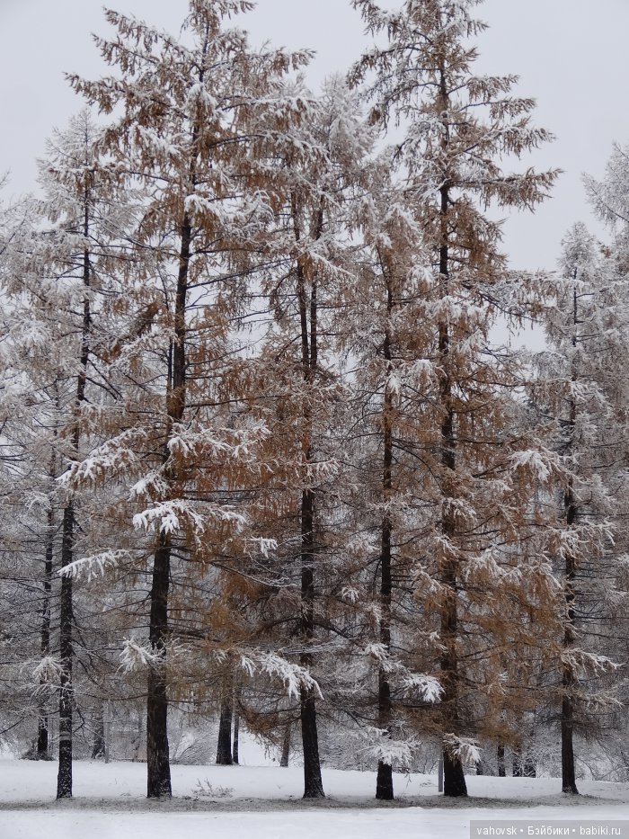 Алтайская сказка, или как мы с Катькой путешествовали! Часть первая