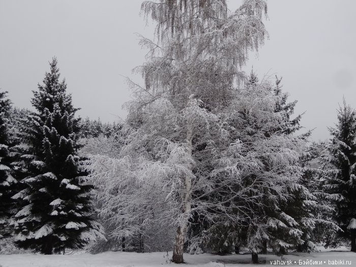 Алтайская сказка, или как мы с Катькой путешествовали! Часть первая