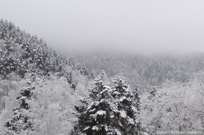 Алтайская сказка, или как мы с Катькой путешествовали! Часть первая