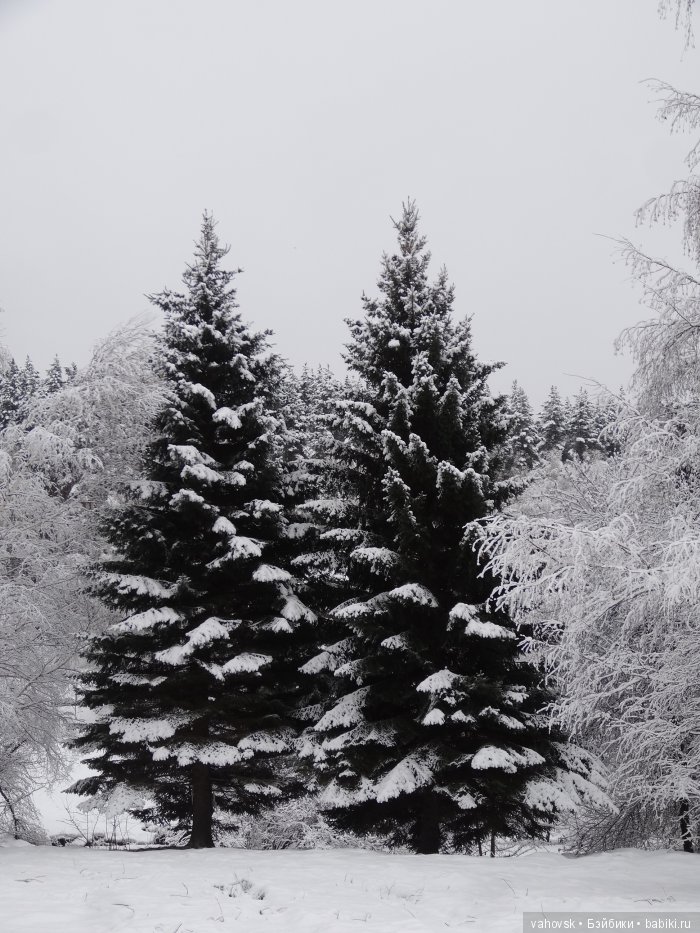 Алтайская сказка, или как мы с Катькой путешествовали! Часть первая