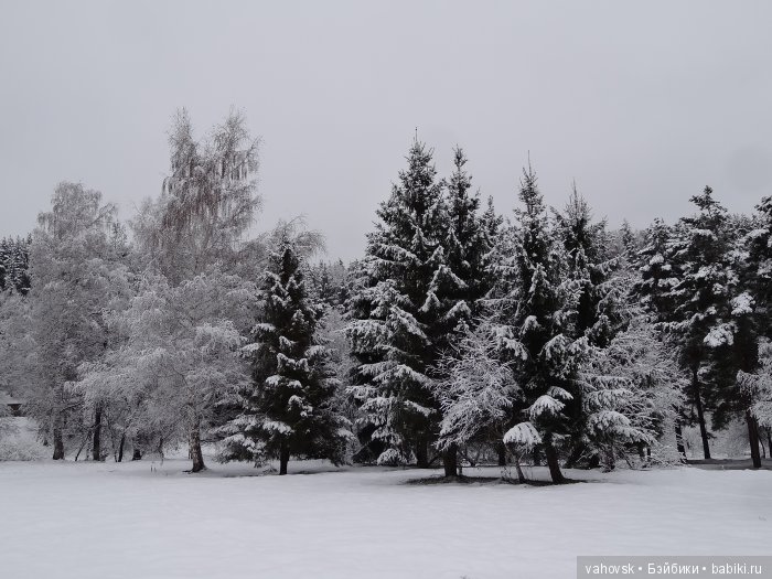 Алтайская сказка, или как мы с Катькой путешествовали! Часть первая