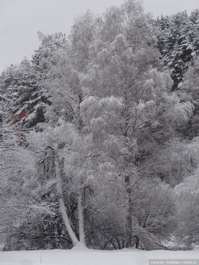 Алтайская сказка, или как мы с Катькой путешествовали! Часть первая