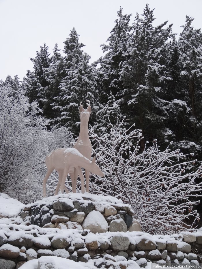 Алтайская сказка, или как мы с Катькой путешествовали! Часть первая