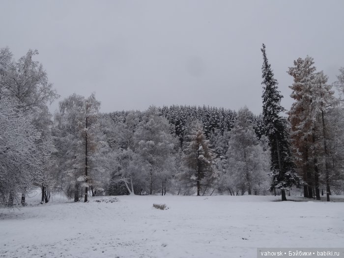 Алтайская сказка, или как мы с Катькой путешествовали! Часть первая