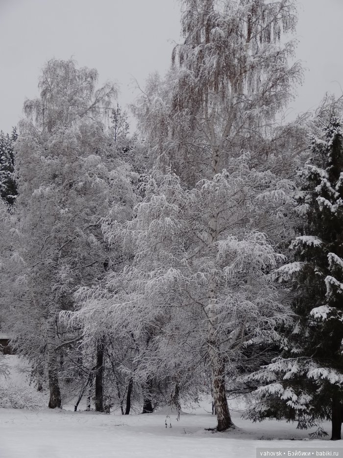 Алтайская сказка, или как мы с Катькой путешествовали! Часть первая