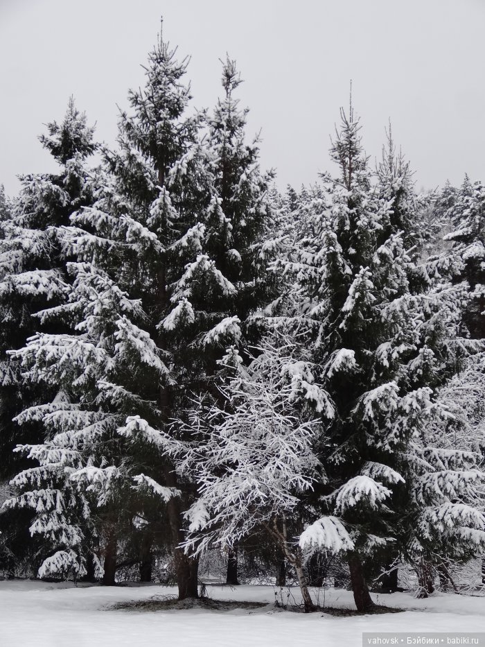 Алтайская сказка, или как мы с Катькой путешествовали! Часть первая