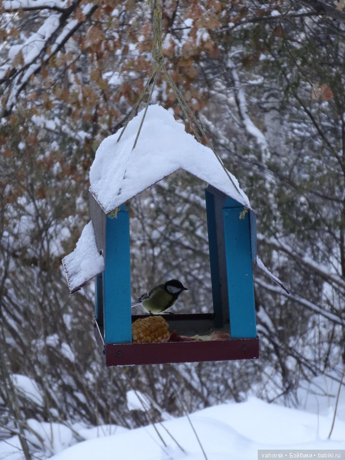 Алтайская сказка. Тропа в горы, терренкур №2-Старая Мельница. Часть 3