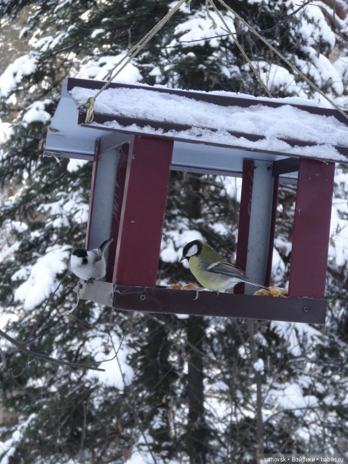 Алтайская сказка. Тропа в горы, терренкур №2-Старая Мельница. Часть 3