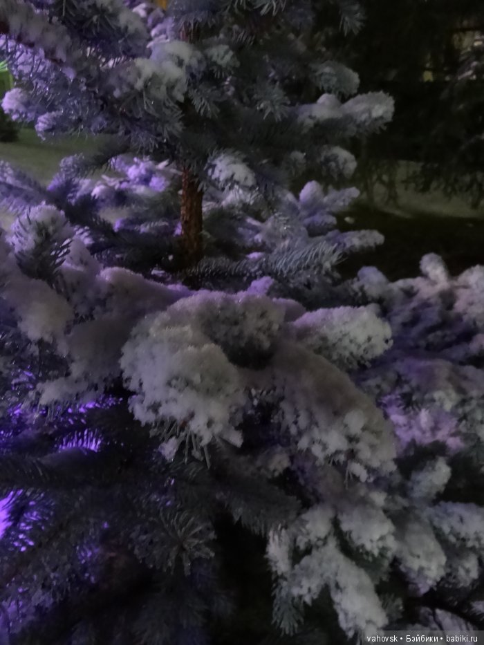 Алтайская сказка! Ночная Белокуриха. Часть вторая (фото 7)