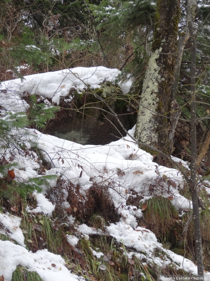Алтайская сказка. Тропа в горы, терренкур №2-Старая Мельница. Часть 3