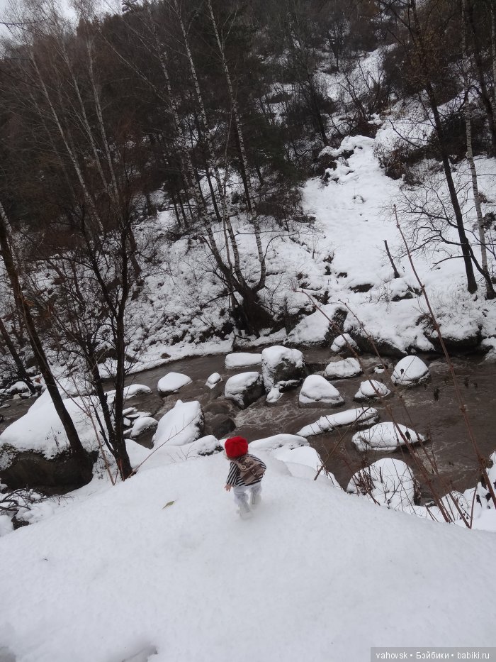 Алтайская сказка. Тропа в горы, терренкур №2-Старая Мельница. Часть 3 (фото 8)