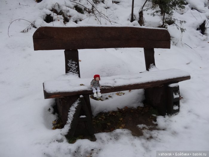 Алтайская сказка. Тропа в горы, терренкур №2-Старая Мельница. Часть 3 (фото 6)
