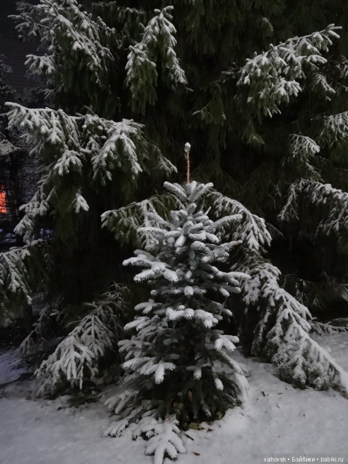 Алтайская сказка! Ночная Белокуриха. Часть вторая (фото 8)