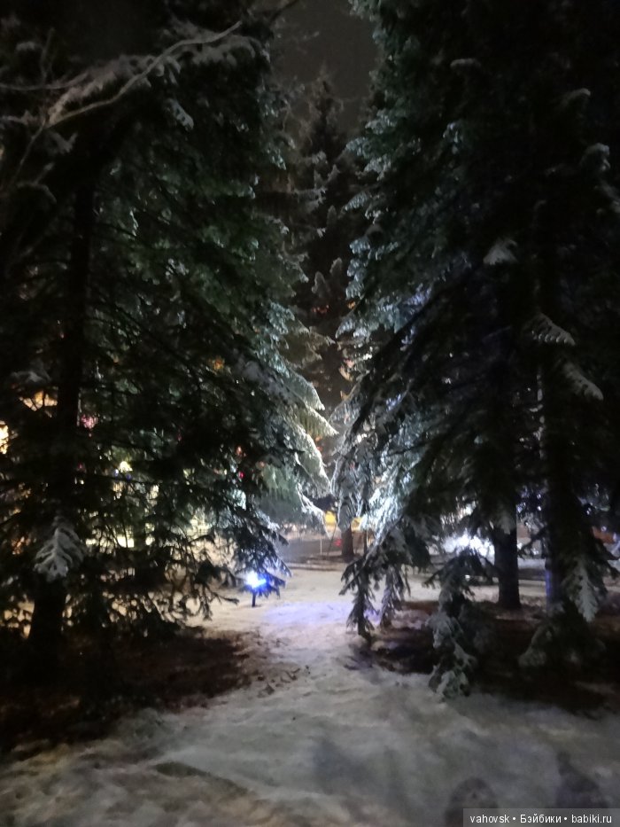 Алтайская сказка! Ночная Белокуриха. Часть вторая (фото 2)