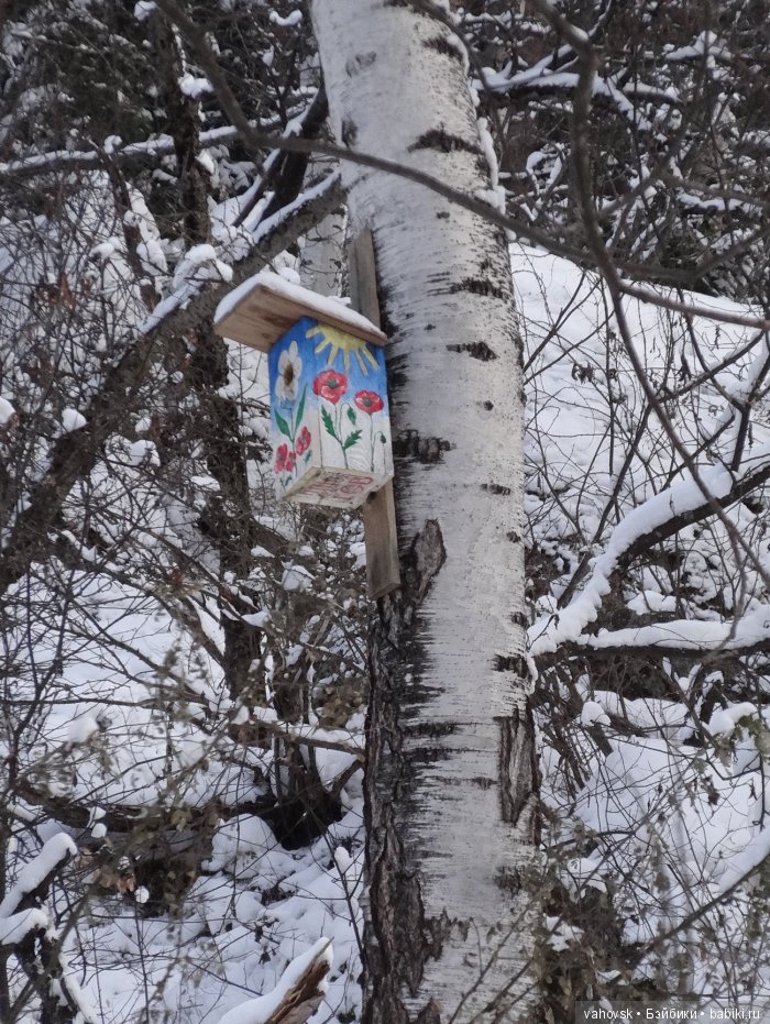 Алтайская сказка. Тропа в горы, терренкур №2-Старая Мельница. Часть 3