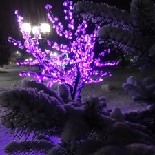 Алтайская сказка! Ночная Белокуриха. Часть вторая.