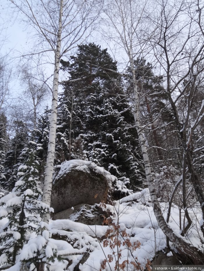 Алтайская сказка. Тропа в горы, терренкур №2-Старая Мельница. Часть 3